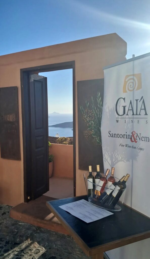 Roots of the Earth: GAIA Wines & Rizes Santorini Event Recap | Aestian